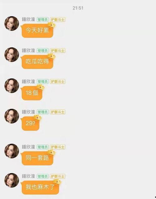 娱乐圈吃瓜的文件,幕后真相与明星隐私曝光