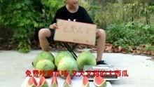 搞笑娱乐吃瓜视频大全,笑料横生！搞笑娱乐吃瓜视频大盘点
