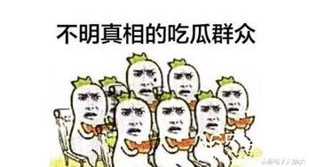 娱乐之星吃瓜群众是谁啊,揭秘娱乐圈神秘幕后推手