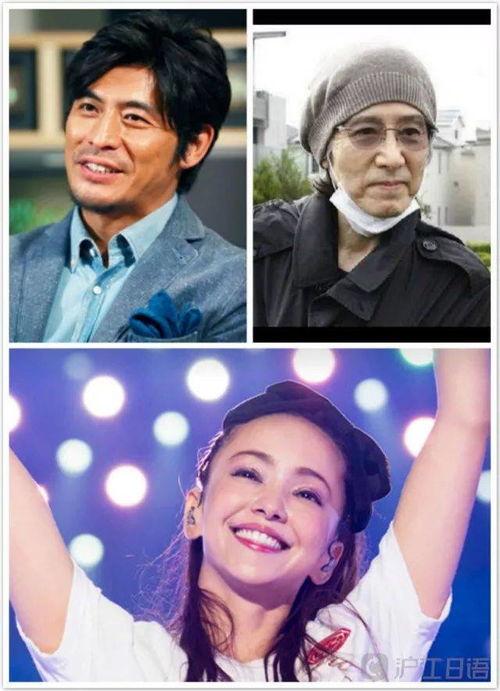 2024年度吃瓜娱乐圈,瓜田李下，明星风云录