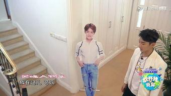 吃瓜娱乐马天宇,揭秘娱乐圈幕后故事