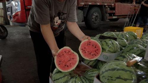 中山娱乐场所吃瓜