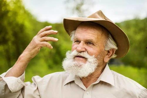 娱乐吃瓜酱老人,揭秘娱乐圈背后的真相