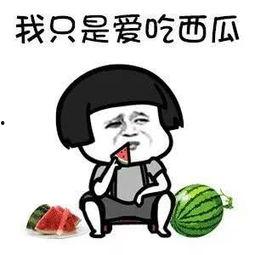 娱乐吃瓜头像图片大全,海量娱乐吃瓜头像大盘点