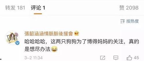 娱乐吃瓜流程,揭秘明星幕后故事，带你领略娱乐风云变幻